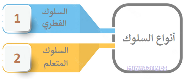 أنواع السلوك أنواع السلوك